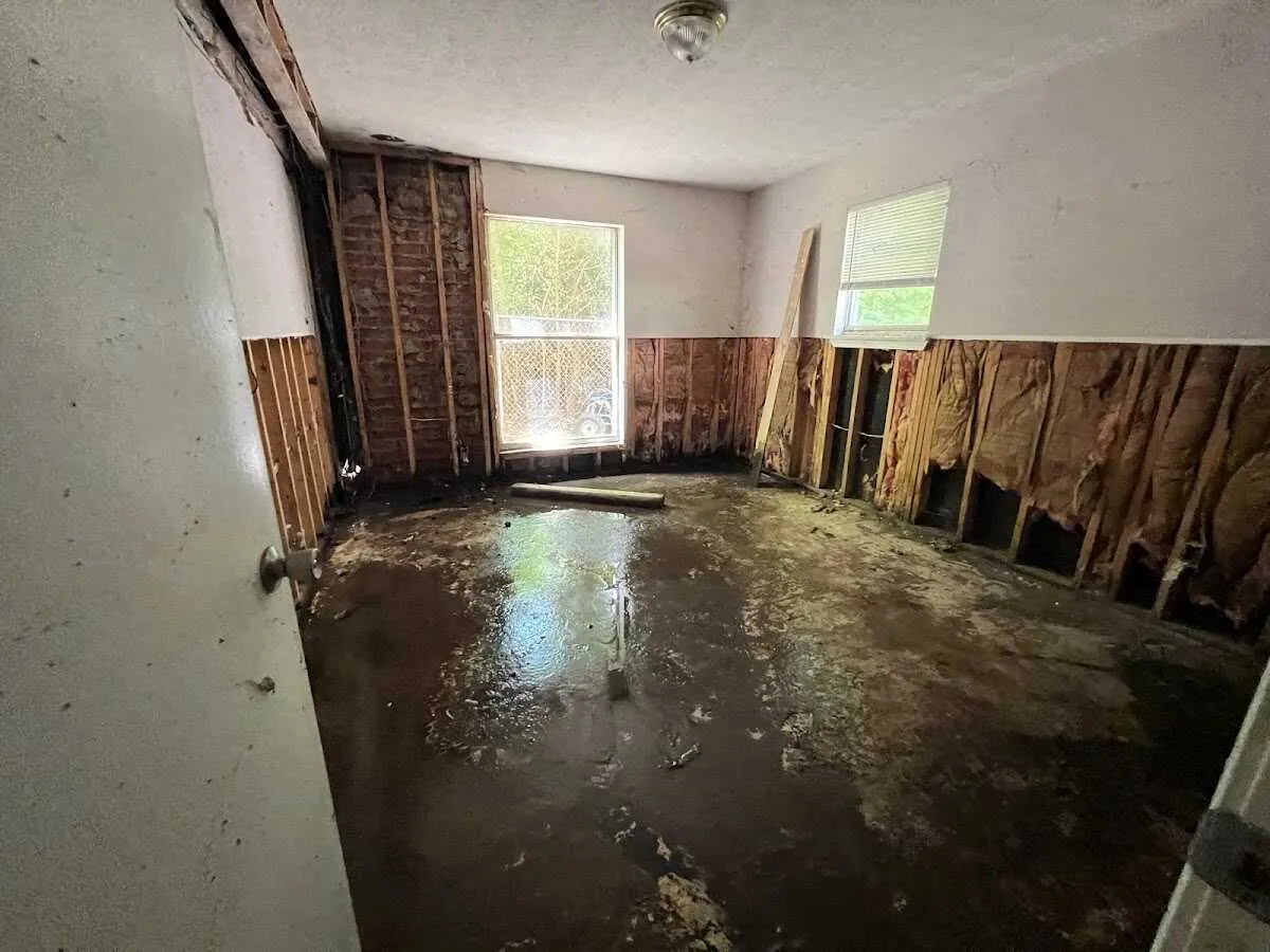 Water Damage Assessment in South Holland, IL